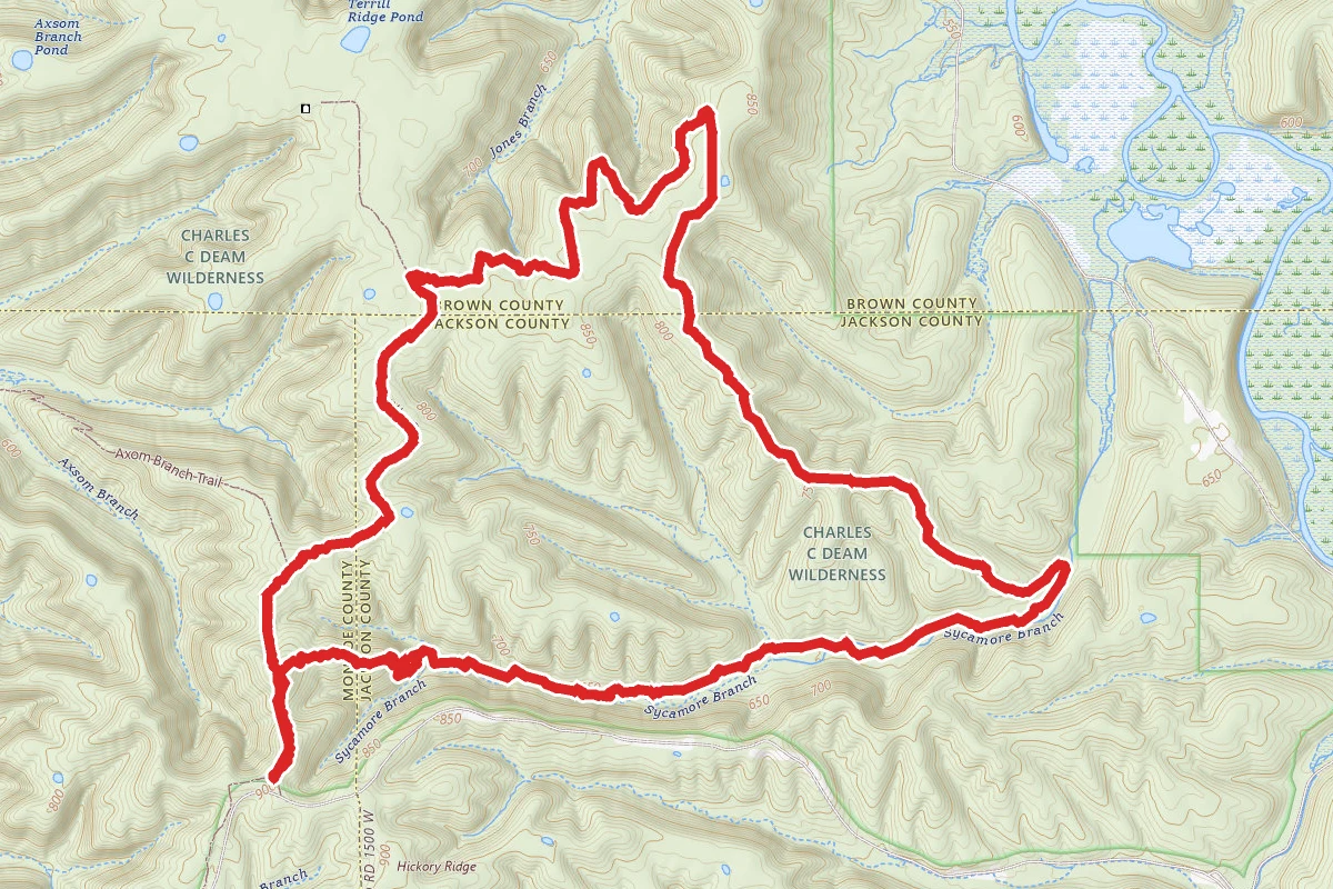 Sycamore Loop Trail