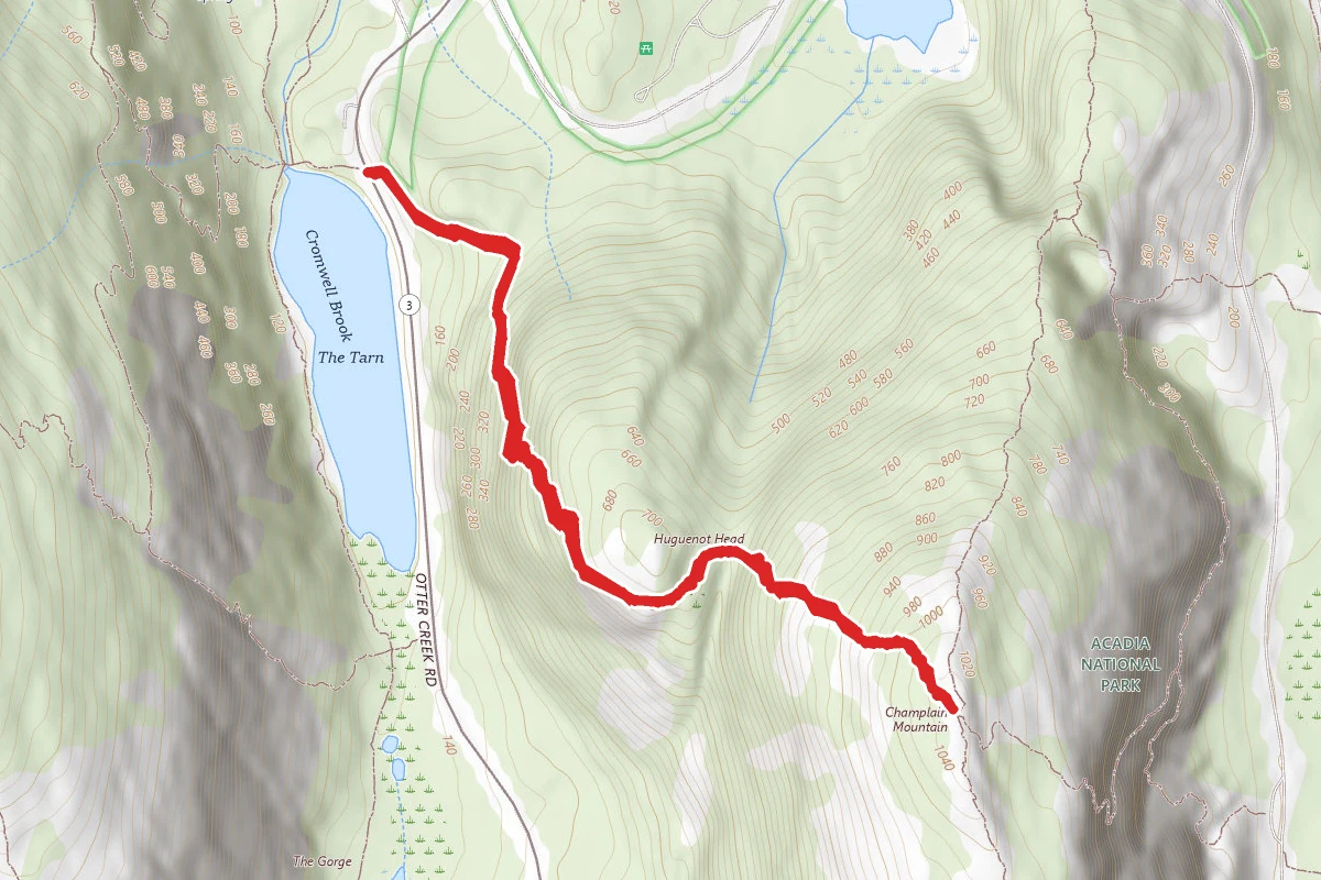 Beachcroft Path Trail