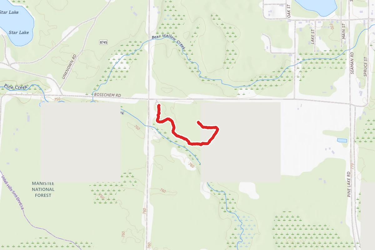 Arboretum Trail
