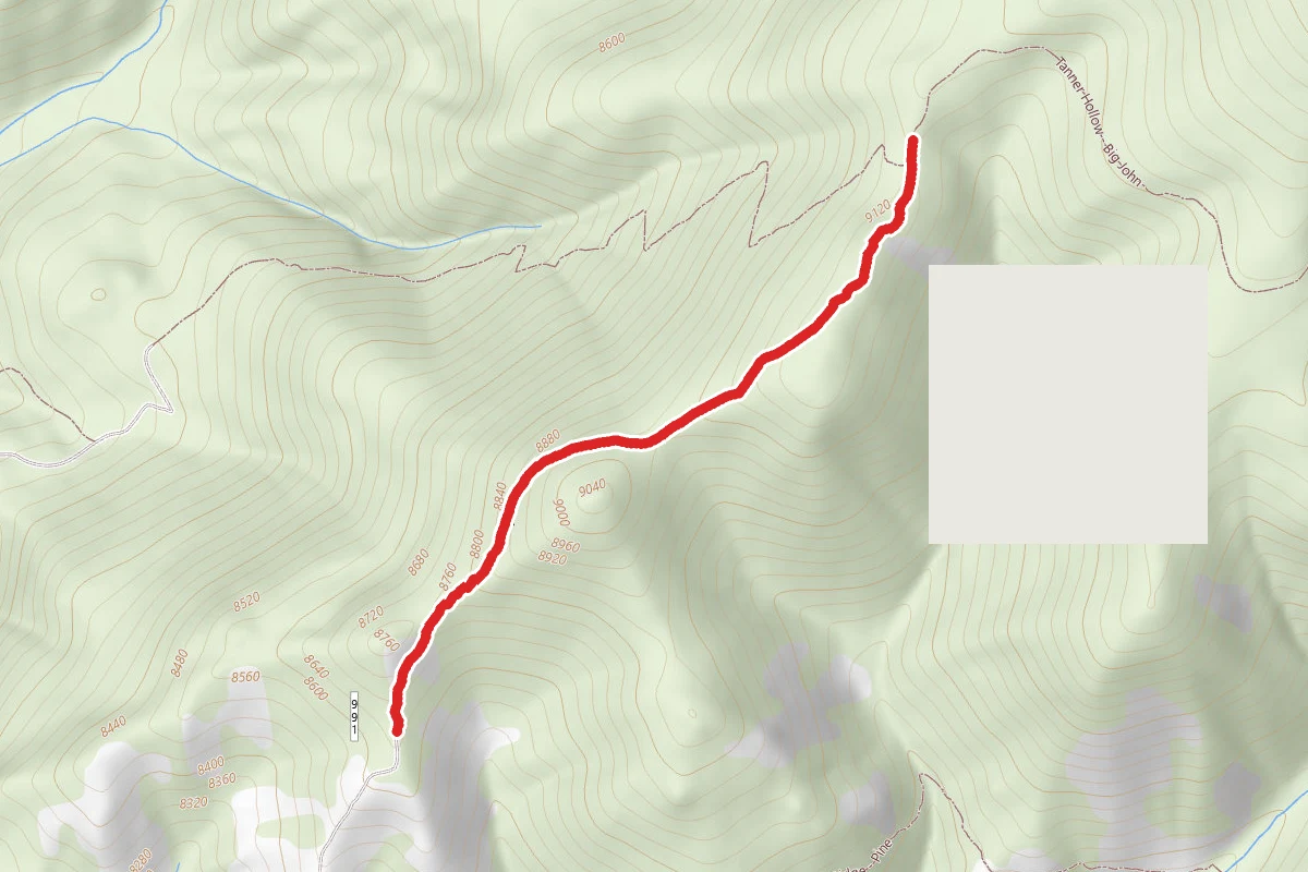 Bear Canyon - Cork to Tanner