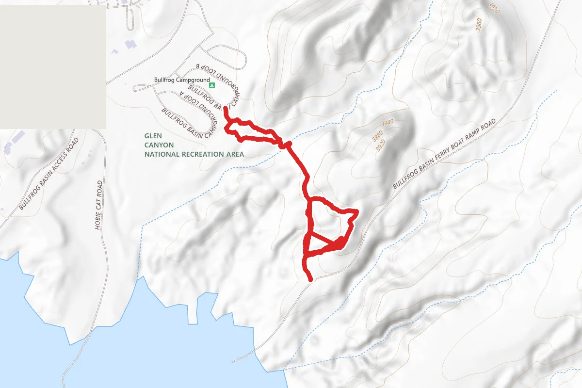 One Cow Trail