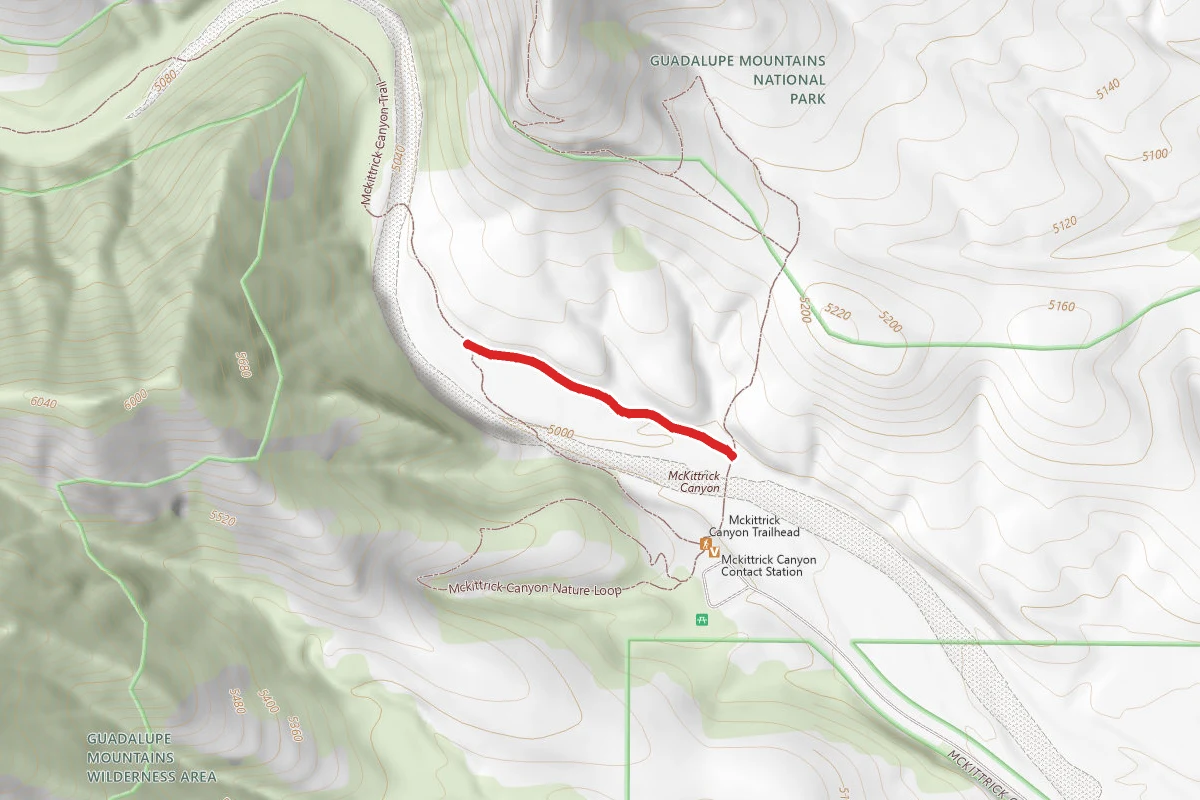 Old McKittrick Canyon Road