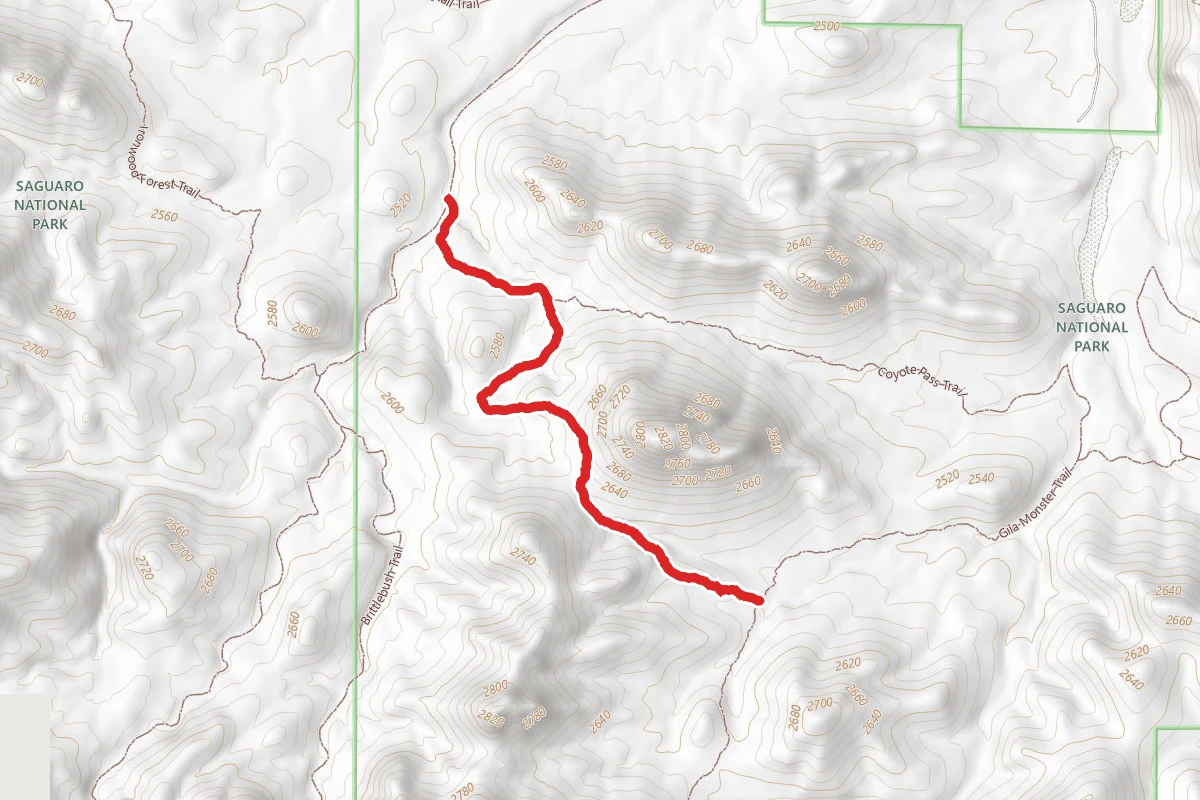Cactus Canyon Trail