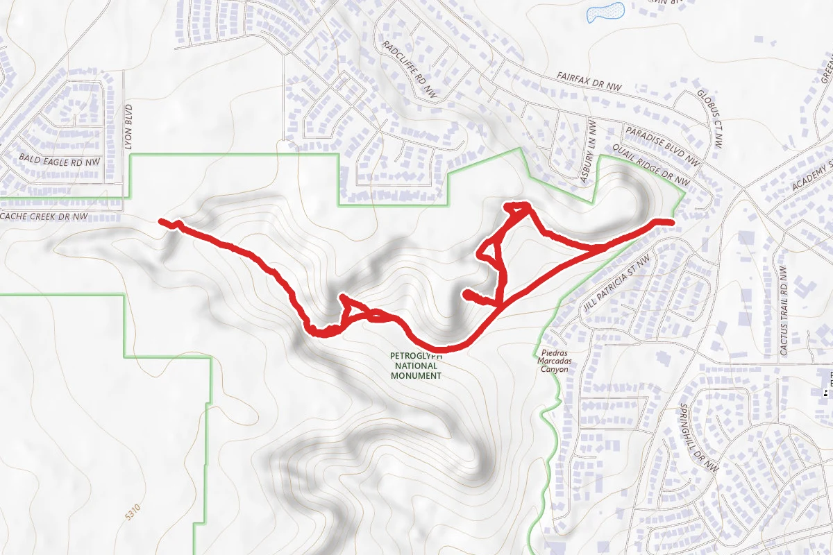 Piedras Marcadas Canyon Trail