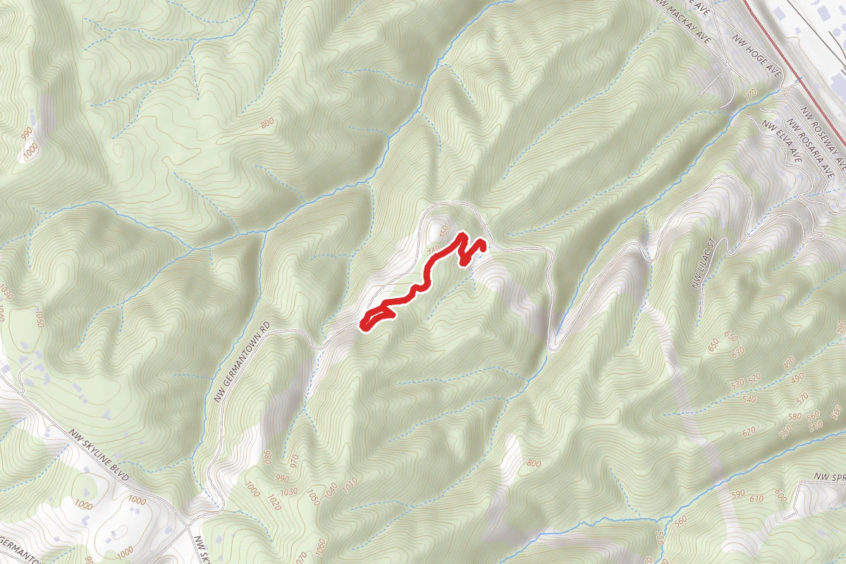 Cannon Trail