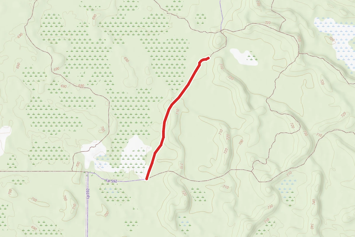 Allegan State Game Area - Equestrian Trail Silver Creek 7