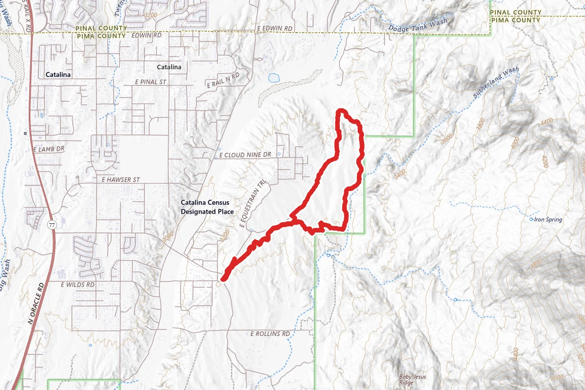 50 Year Trail
