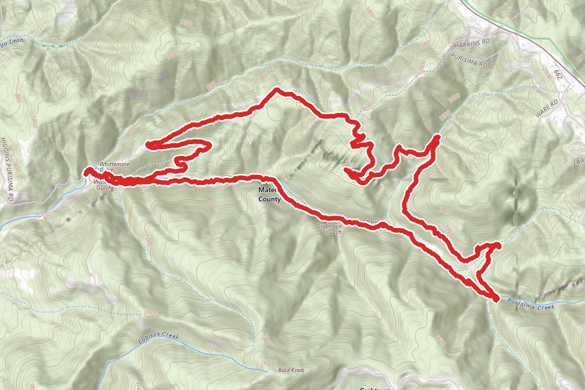 Harkins Ridge, Craig Britton and Purisima Creek Trail