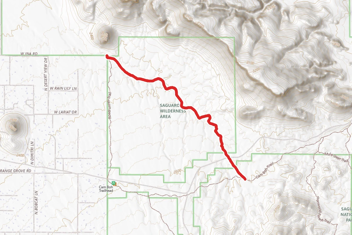 Panther Peak Wash Trail