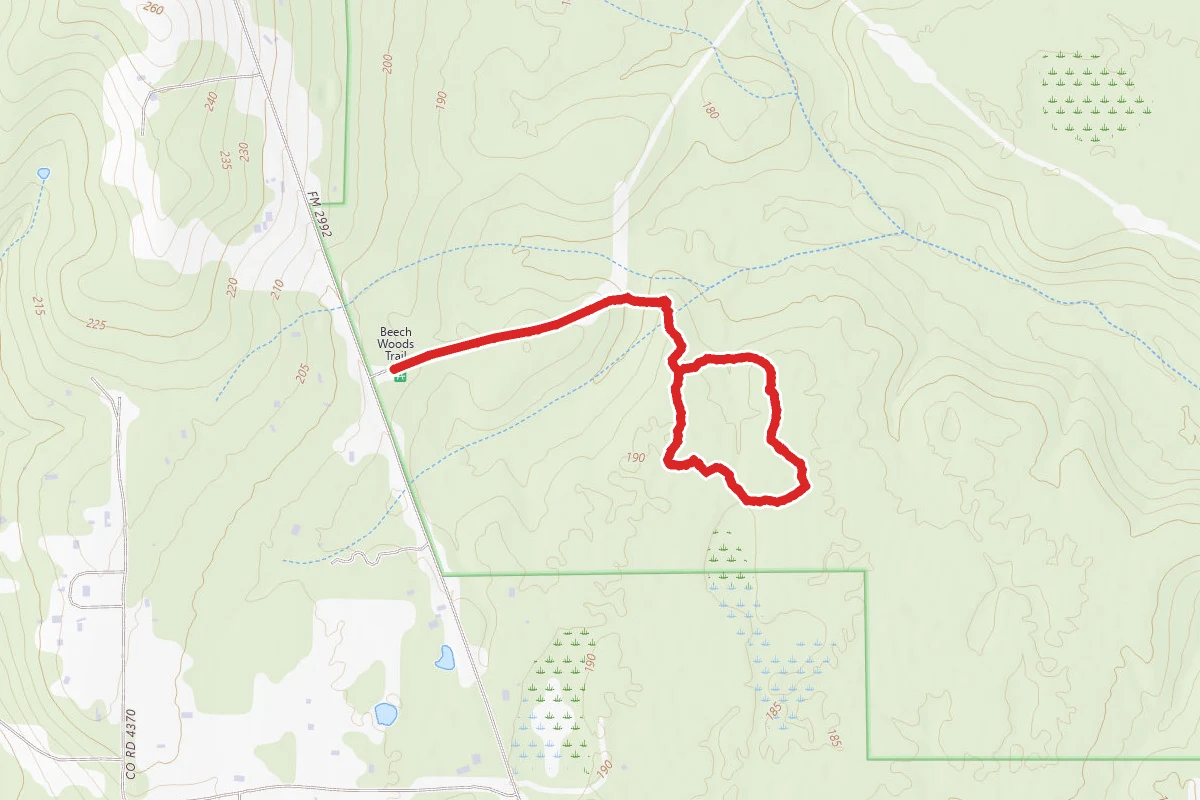 Beechwoods Trail