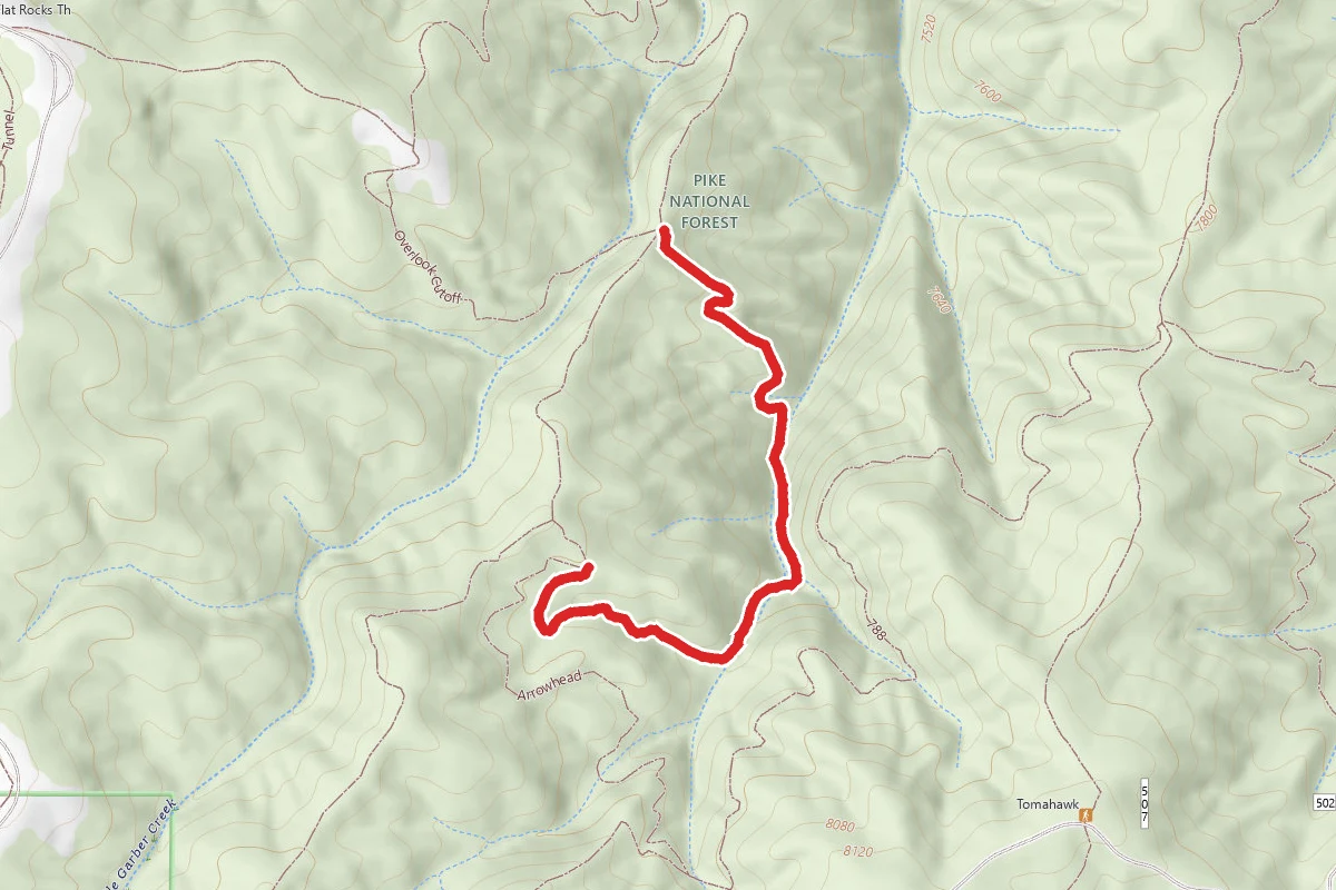 Fern Trail