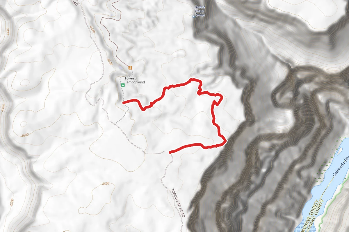 Saddle Horse Loop