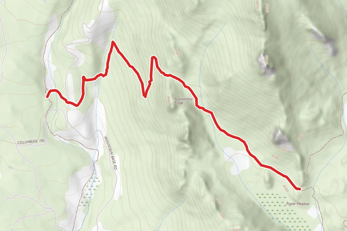Coyote Trail