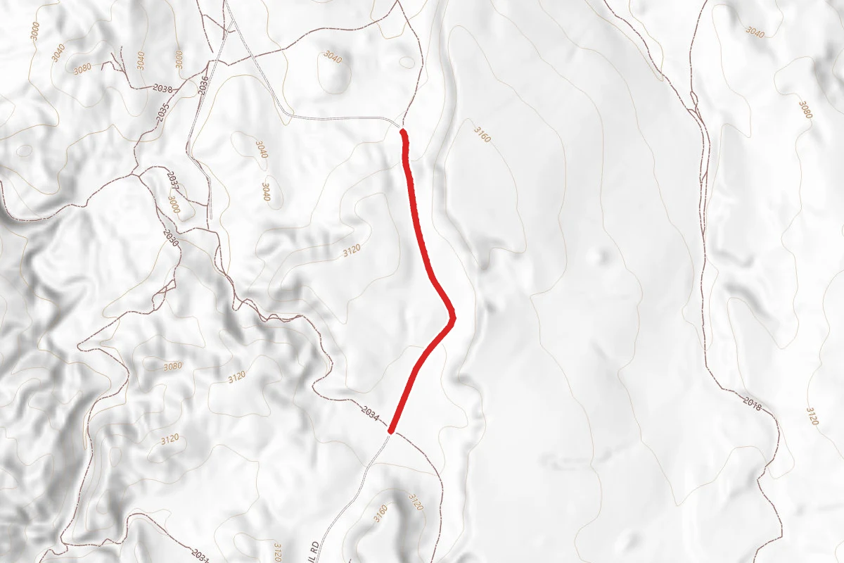 Sunshine Trail
