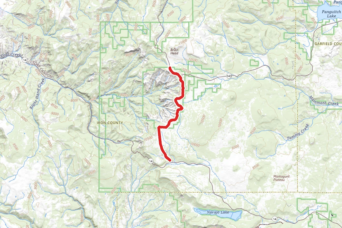 Snowmobile Trail
