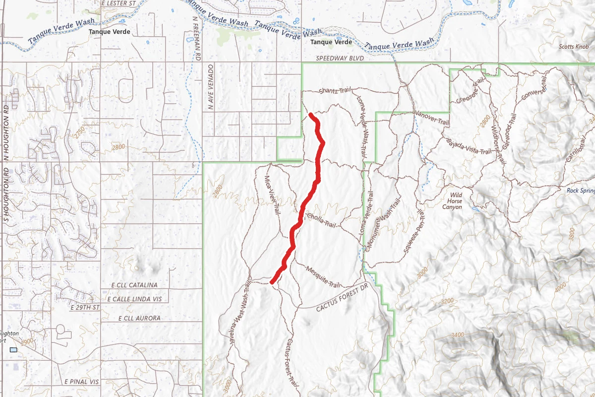 Javelina Wash Trail