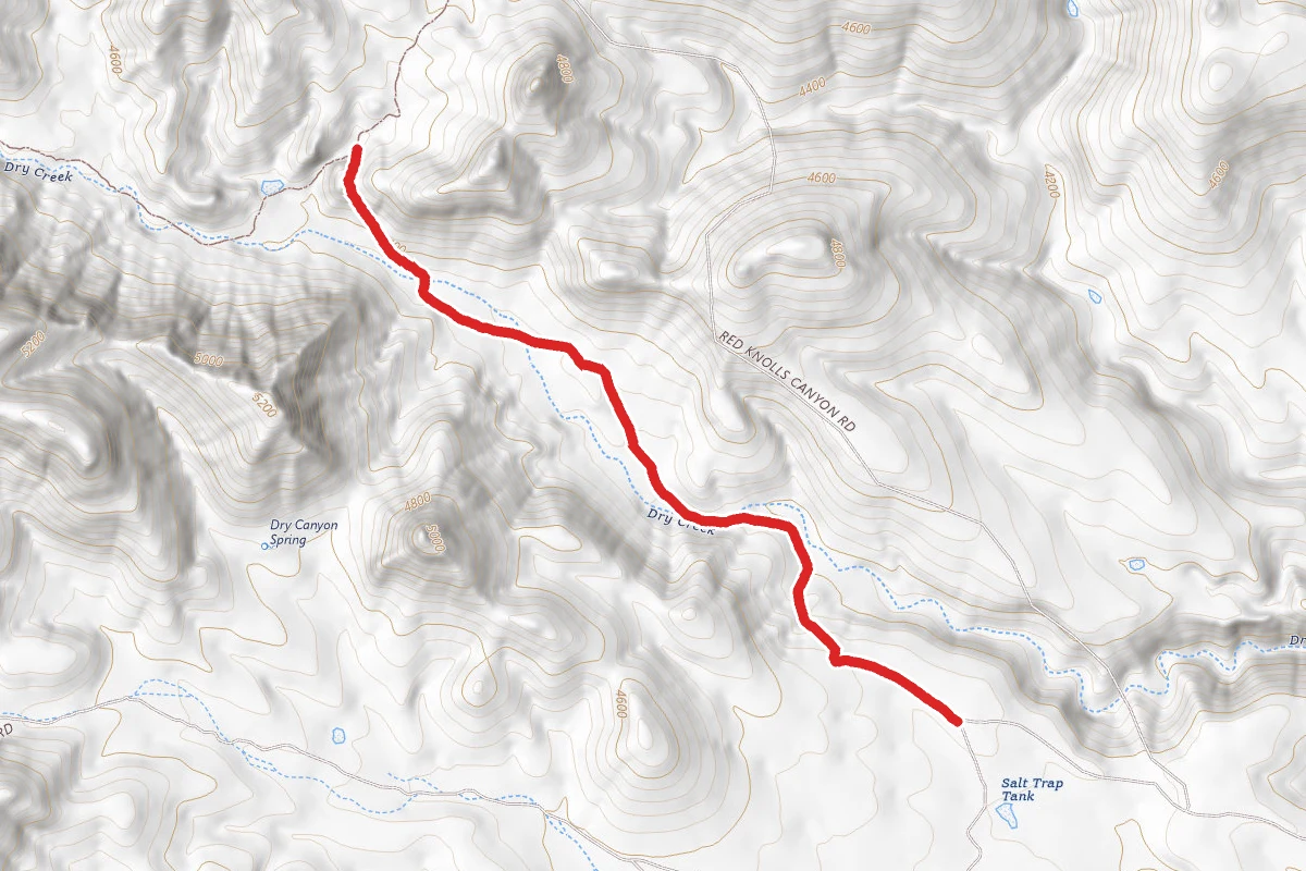 Salt Trap Road