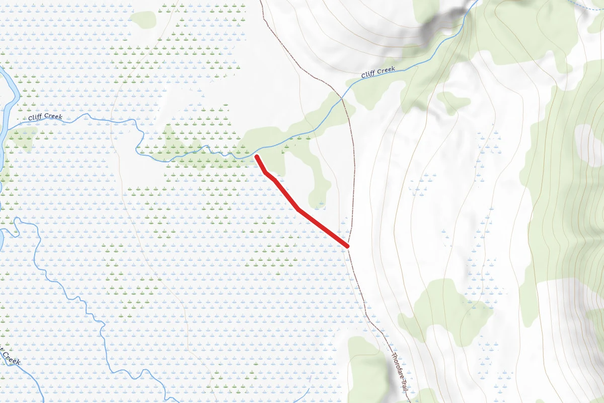 6Y5 Campsite Spur Trail