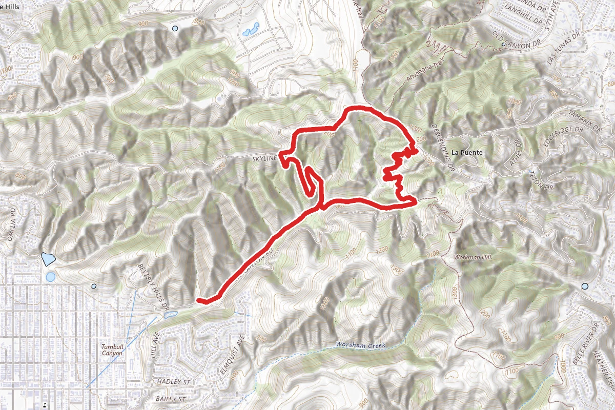 Turnbull Canyon, Rattlesnake Ridge, and Sumac Trail Loop