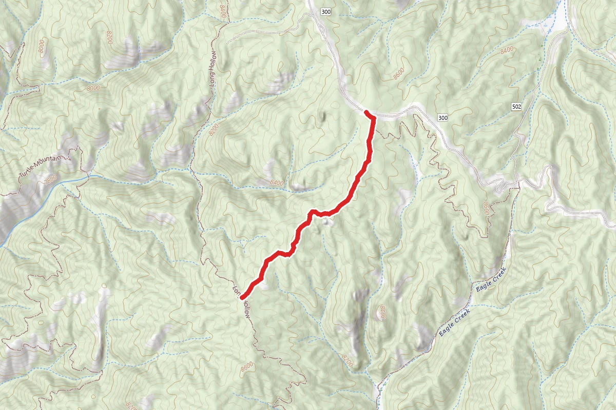 Trout Creek Trail