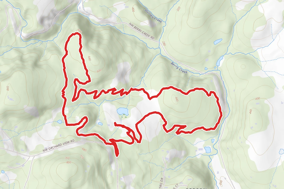 Miller Woods