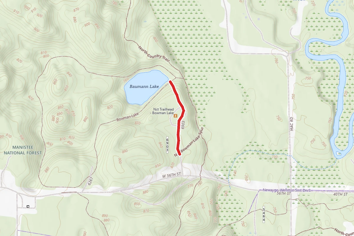 Bowman Lake Trail