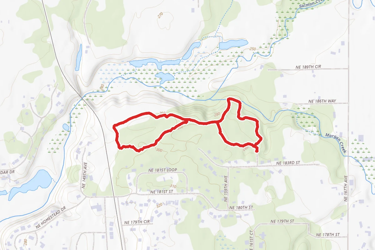 Salmon-Morgan Creeks Trail