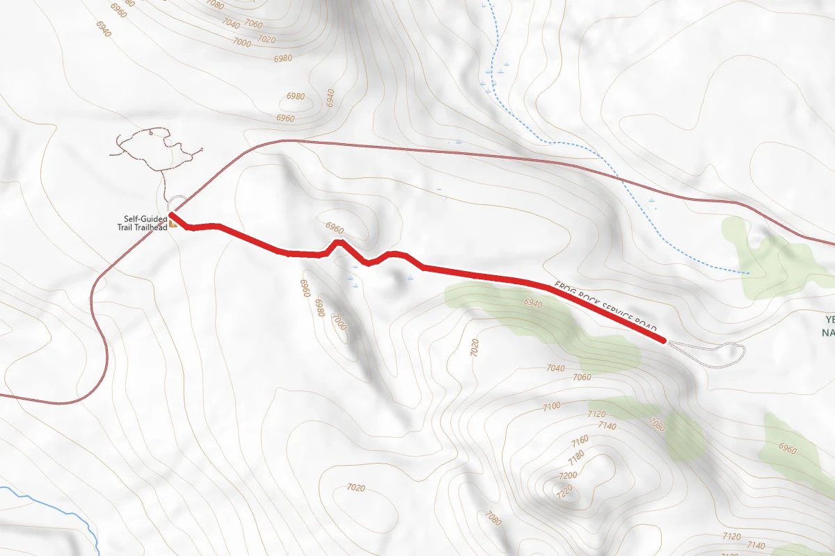 Blacktail Plateau Ski Trail
