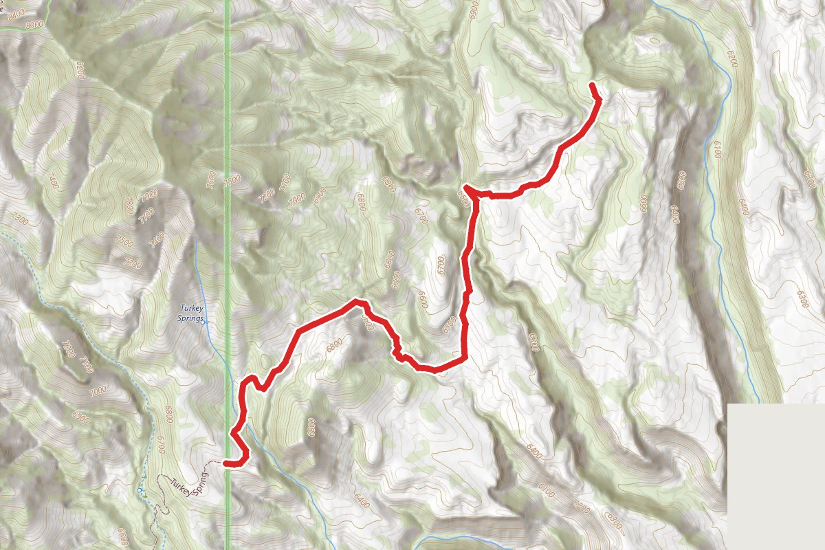 Turkey Spring Trail