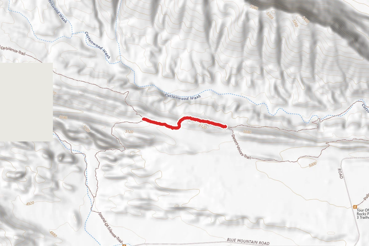 Cottonwood Wash Trail