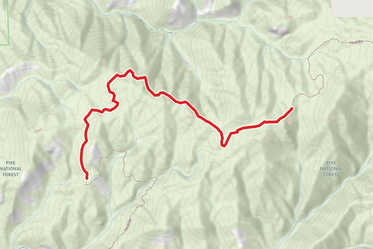 Noddle Trail