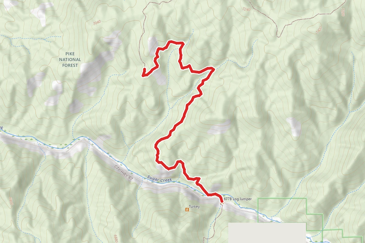Noddle Trail