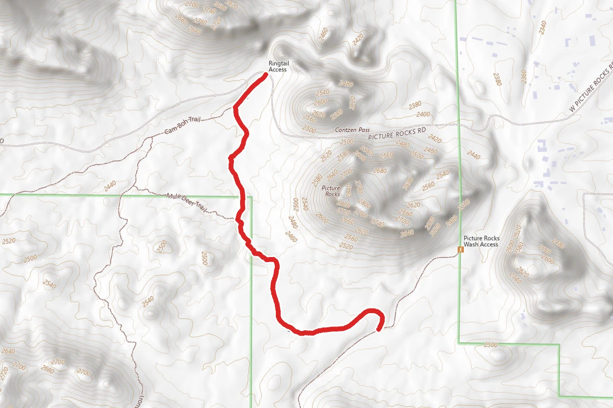 Ringtail Trail