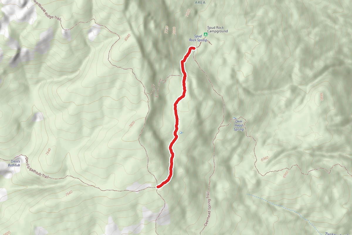 East Slope Trail