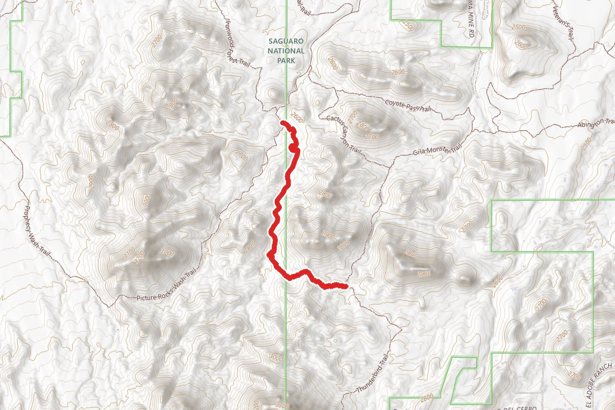 Brittlebush Trail