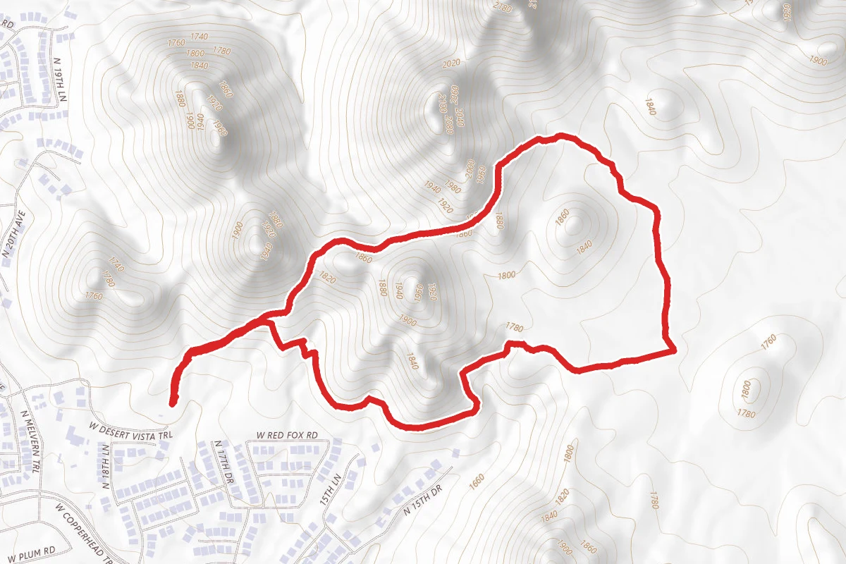 Desert Tortoise Trail