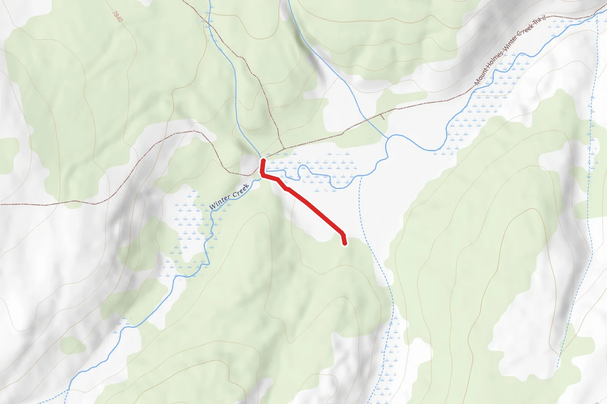 1C5 Campsite Spur Trail