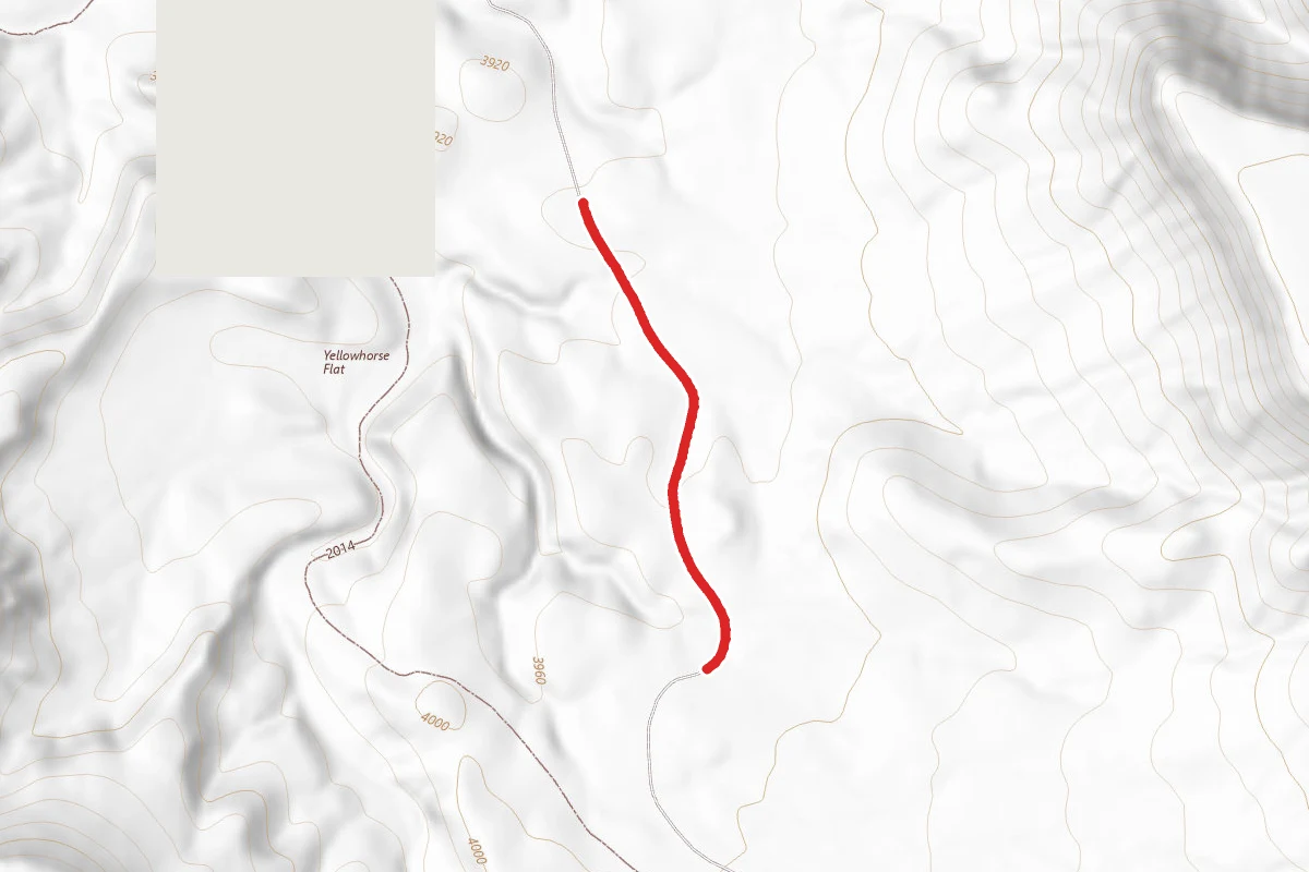Sunshine Trail