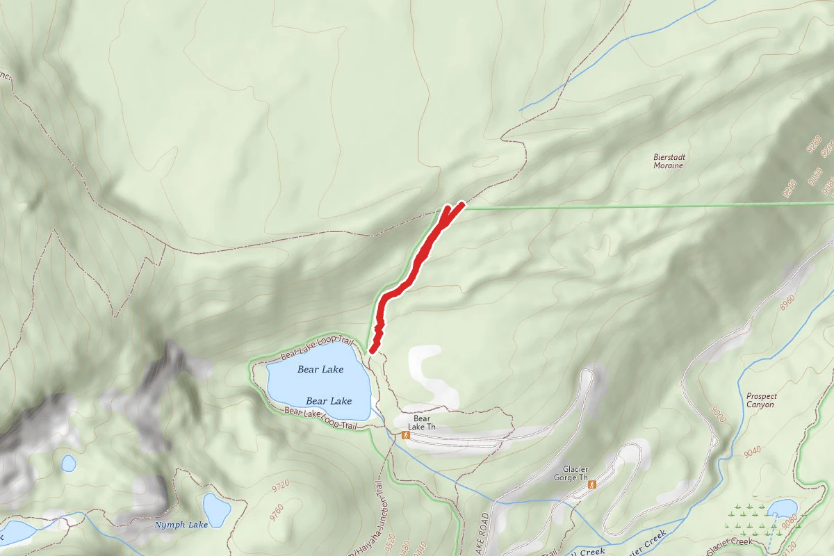 Bear Lake To Bierstadt Junction Trail