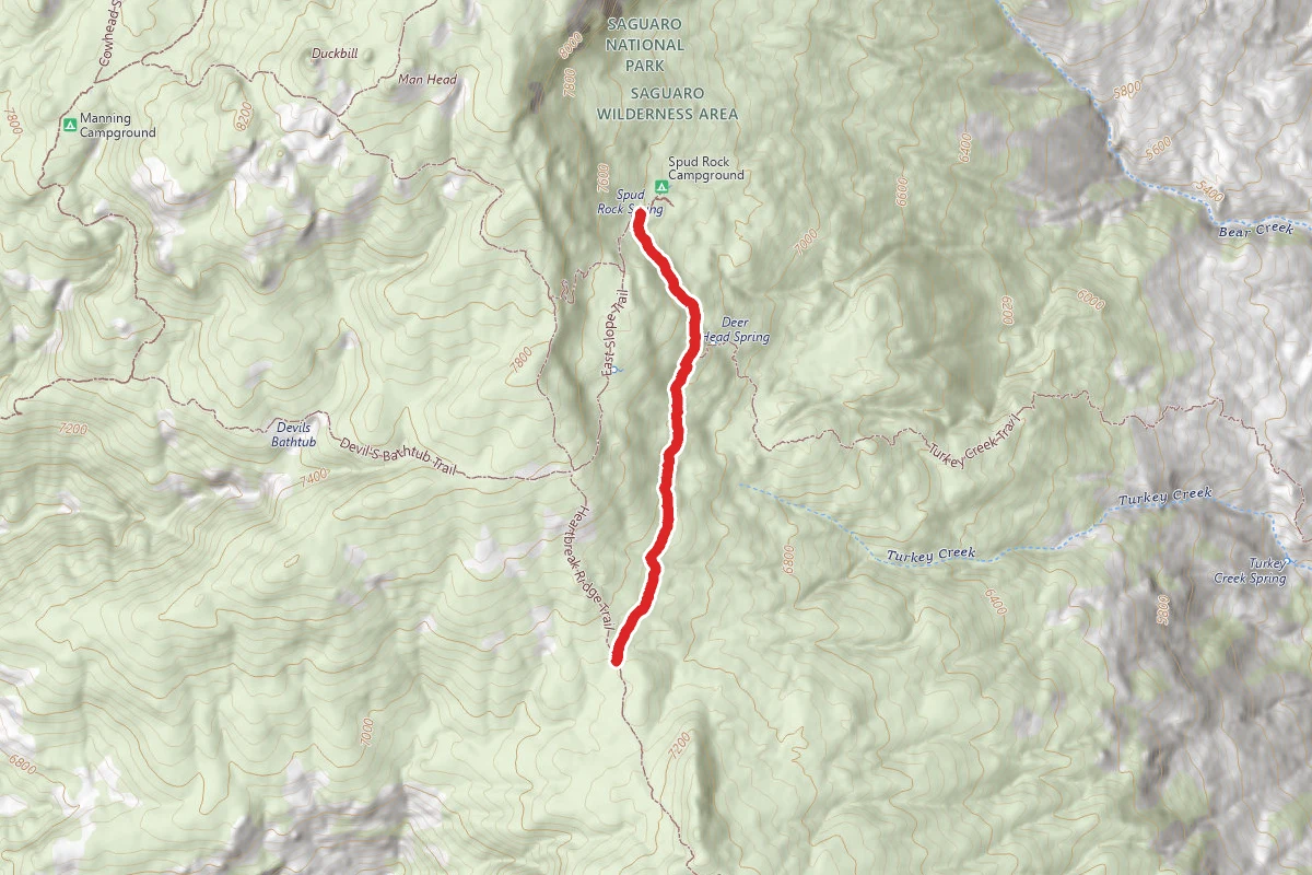 Deerhead Spring Trail
