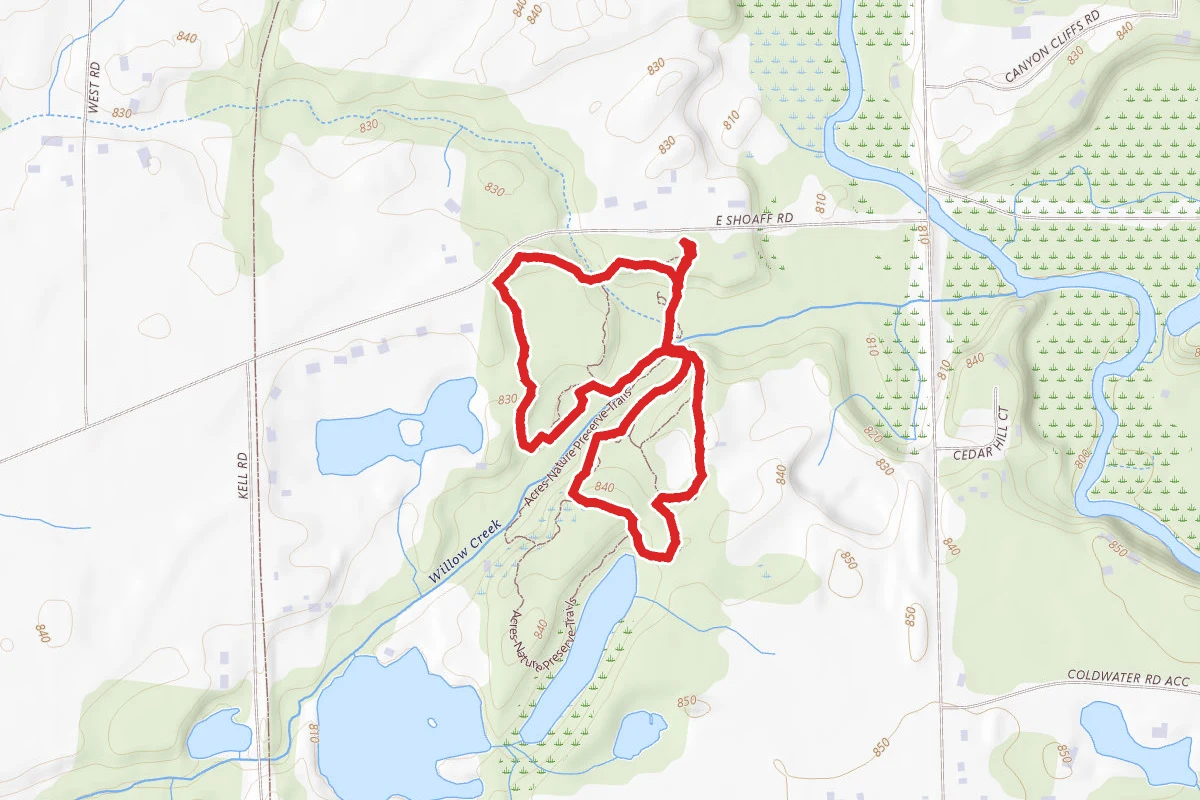 Bicentennial Woods Eagle Trail