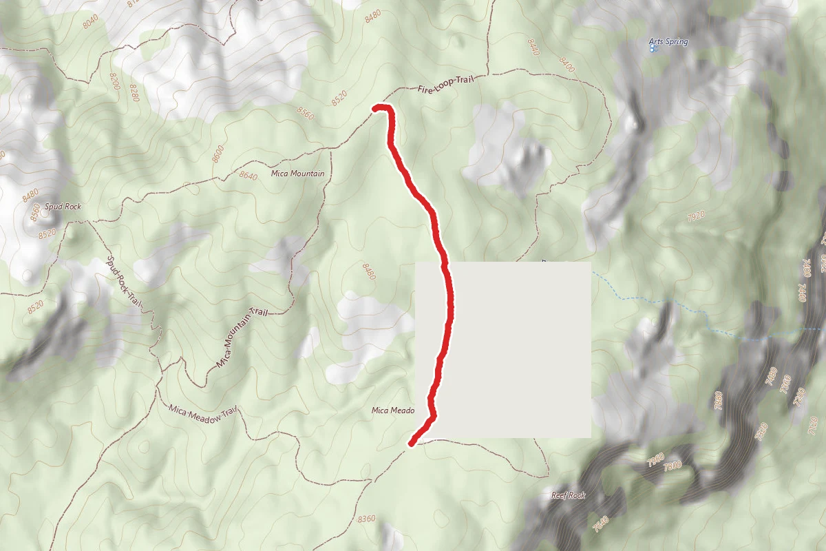 Bonita Trail