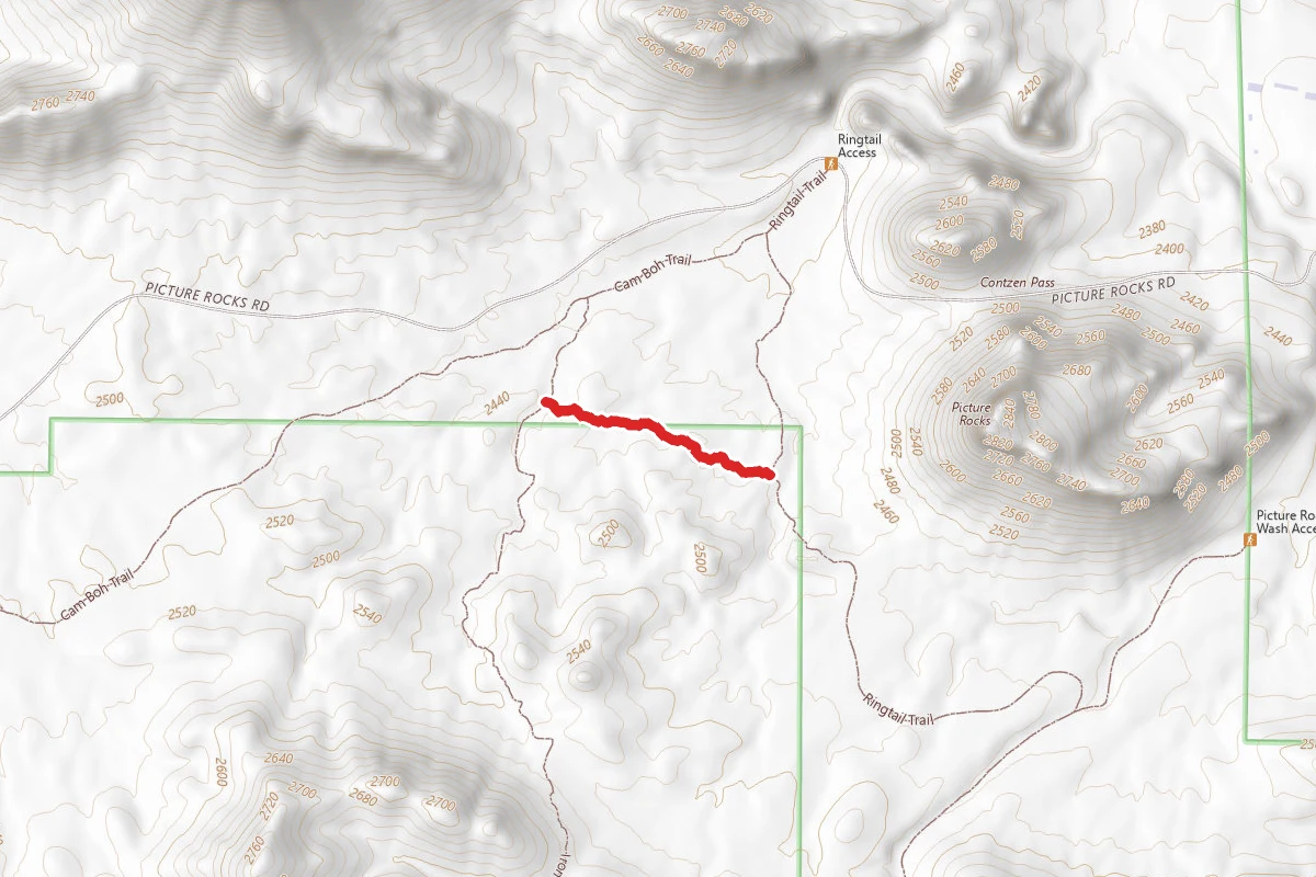 Mule Deer Trail