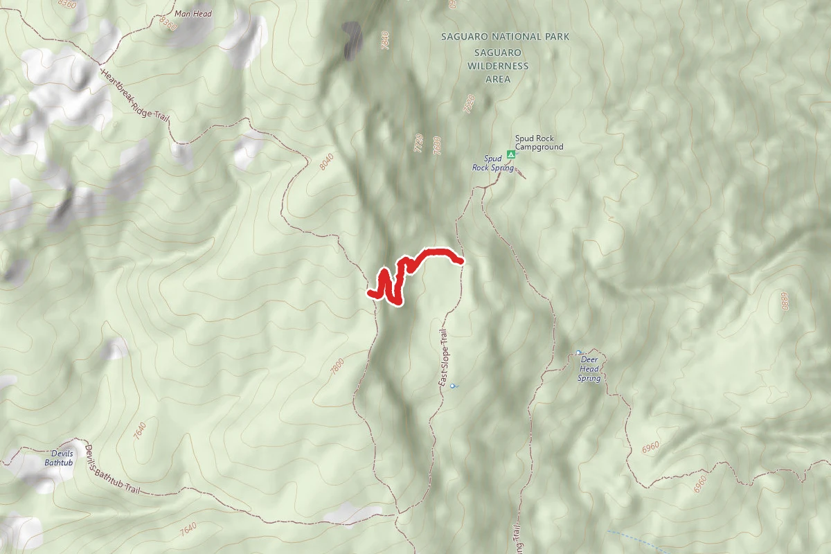 Switchback Trail