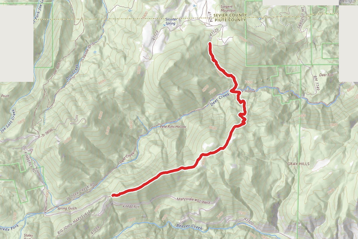 Sargent Mtn. - Bear Hollow
