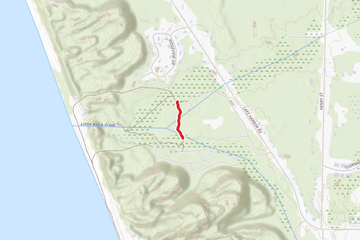 Pj Hoffmaster State Park - Black Creek Trail