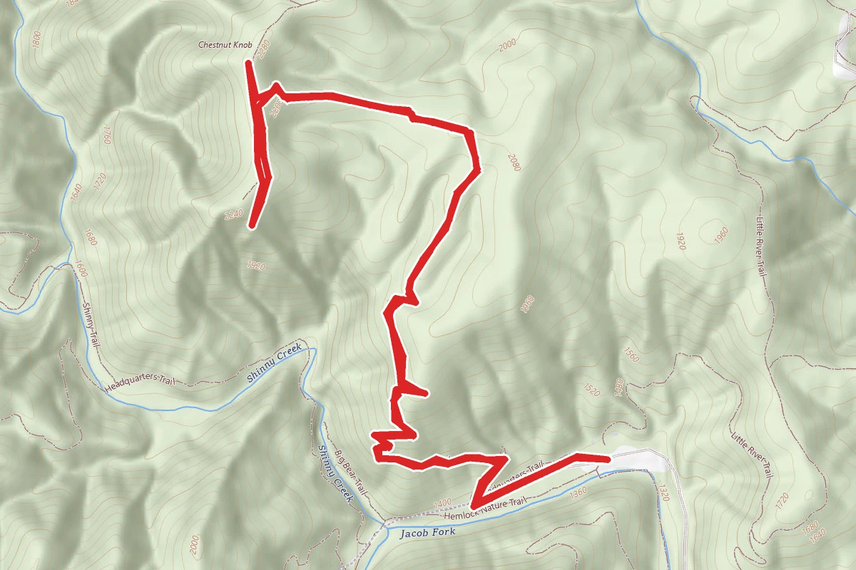 Chestnut Knob Trail