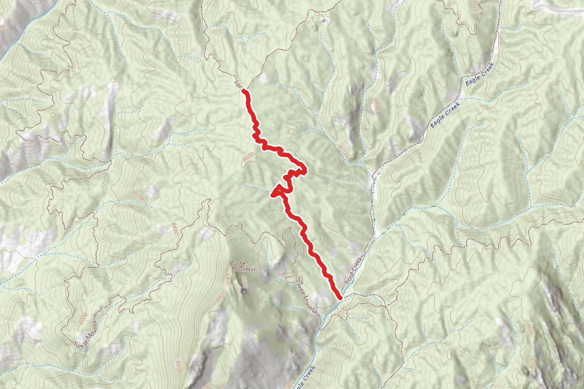 Long Hollow Trail