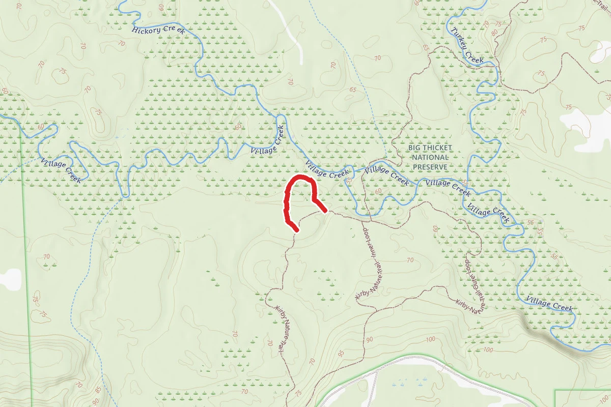 Kirby Nature Trail - Cypress Loop