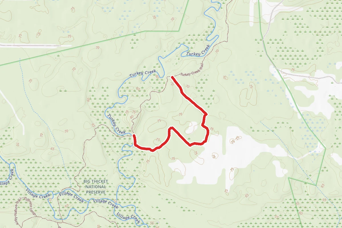Turkey Creek Trail - Sandhill Loop